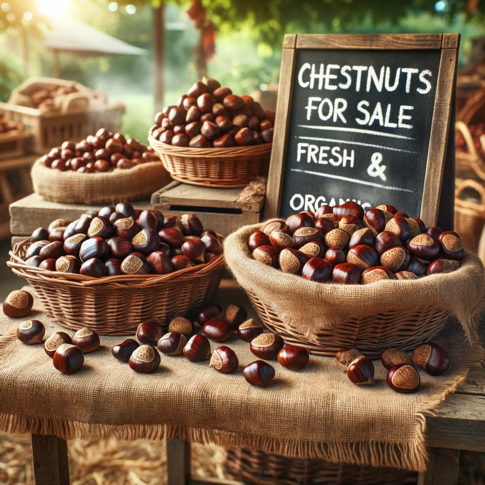 Chestnuts left on the tree 1kg – The Merry Nutfarm